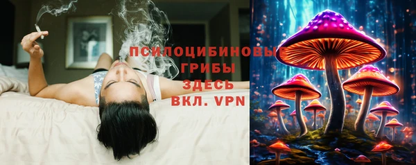 прущие грибы Алексин