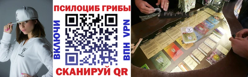 Галлюциногенные грибы прущие грибы  мега как зайти  Георгиевск 